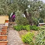 A Casa Di Titti - Goelba Capoliveri (Isola d'Elba)