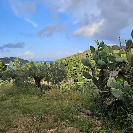 A Casa Di Titti - Goelba 아파트 카폴리베리