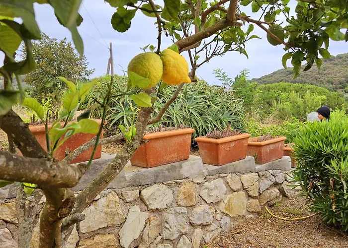 A Casa Di Titti - Goelba * Каполивери