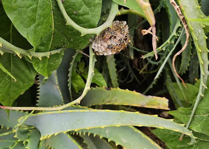 A Casa Di Titti - Goelba