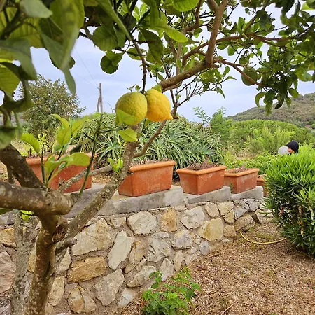 A Casa Di Titti - Goelba * Capoliveri (Isola d'Elba)